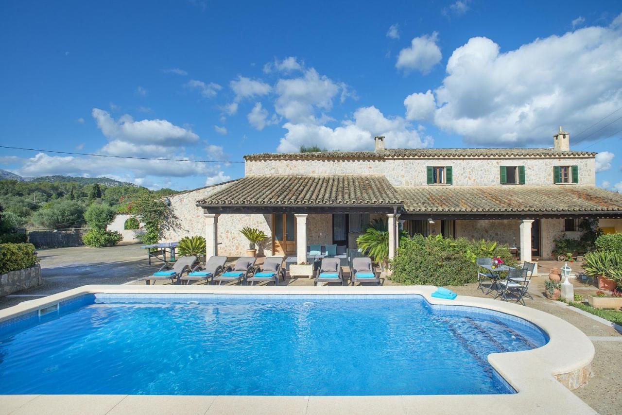 Owl Peric - Family And Friends Villa