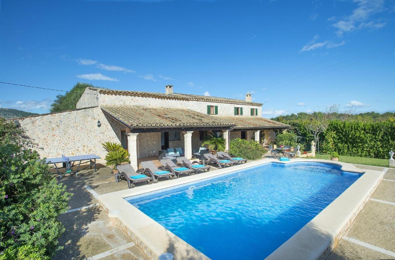 Owl Peric - Family And Friends Villa *
